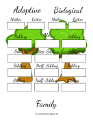Adoptive And Biological Family Tree