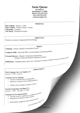 International Curriculum Vitae LibreOffice Template