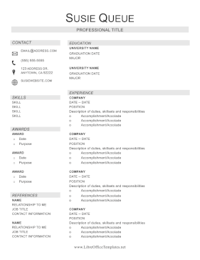 Professional Resume With Icons LibreOffice Template
