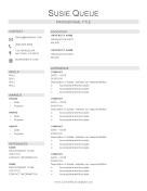 Professional Resume With Icons LibreOffice Template